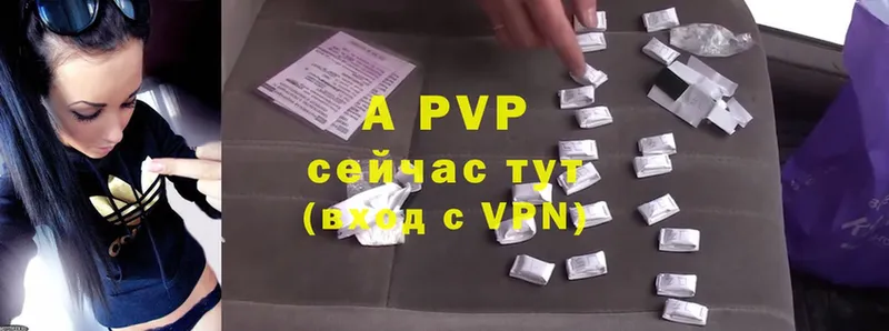 A PVP крисы CK Обь